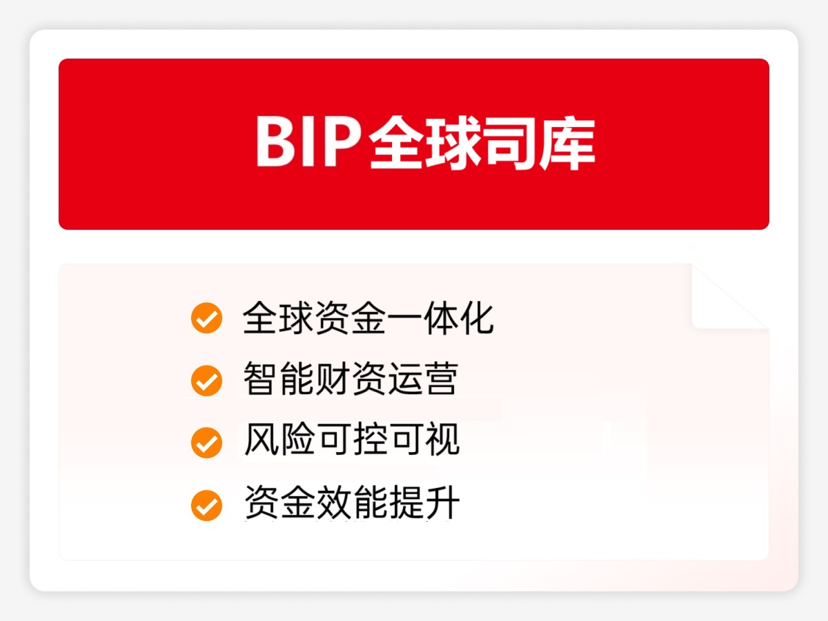 BIP全球司库
