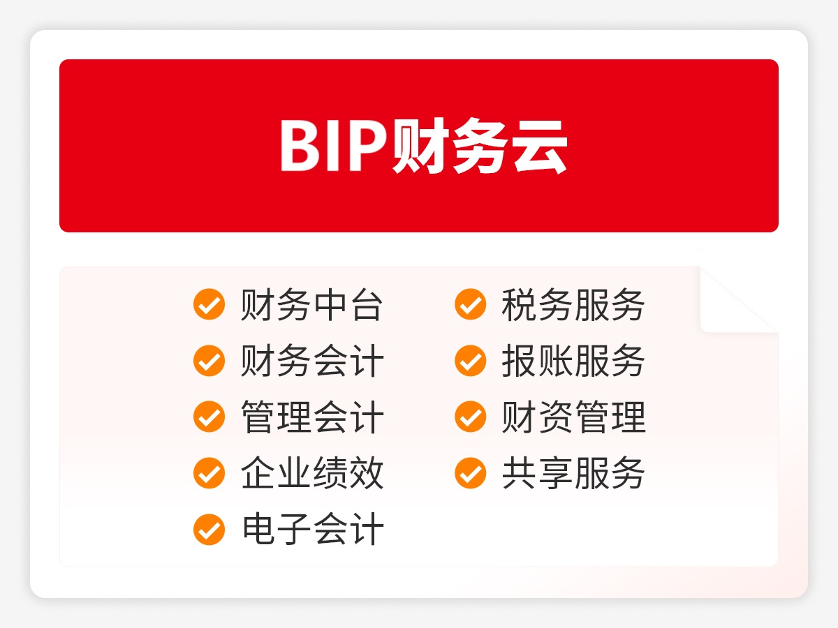 BIP财务云