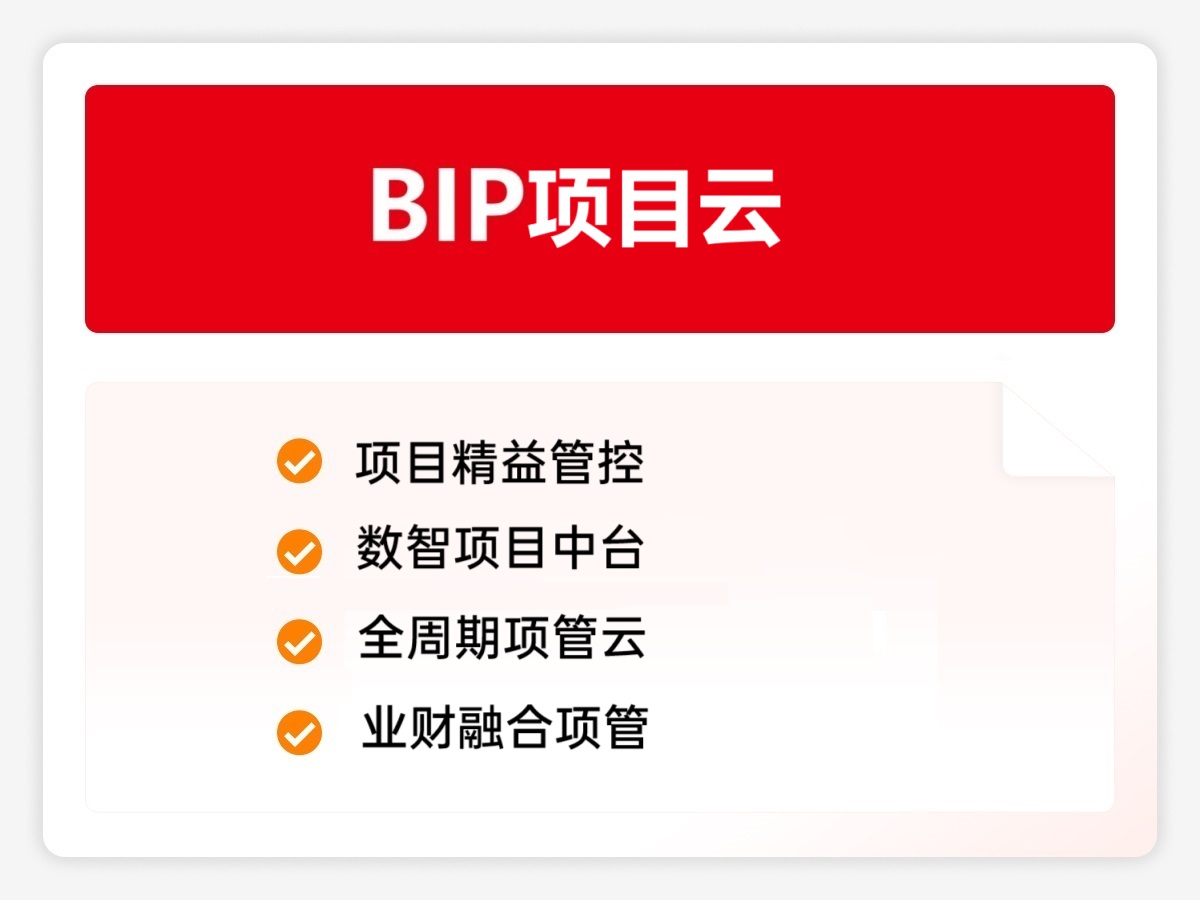 BIP项目云