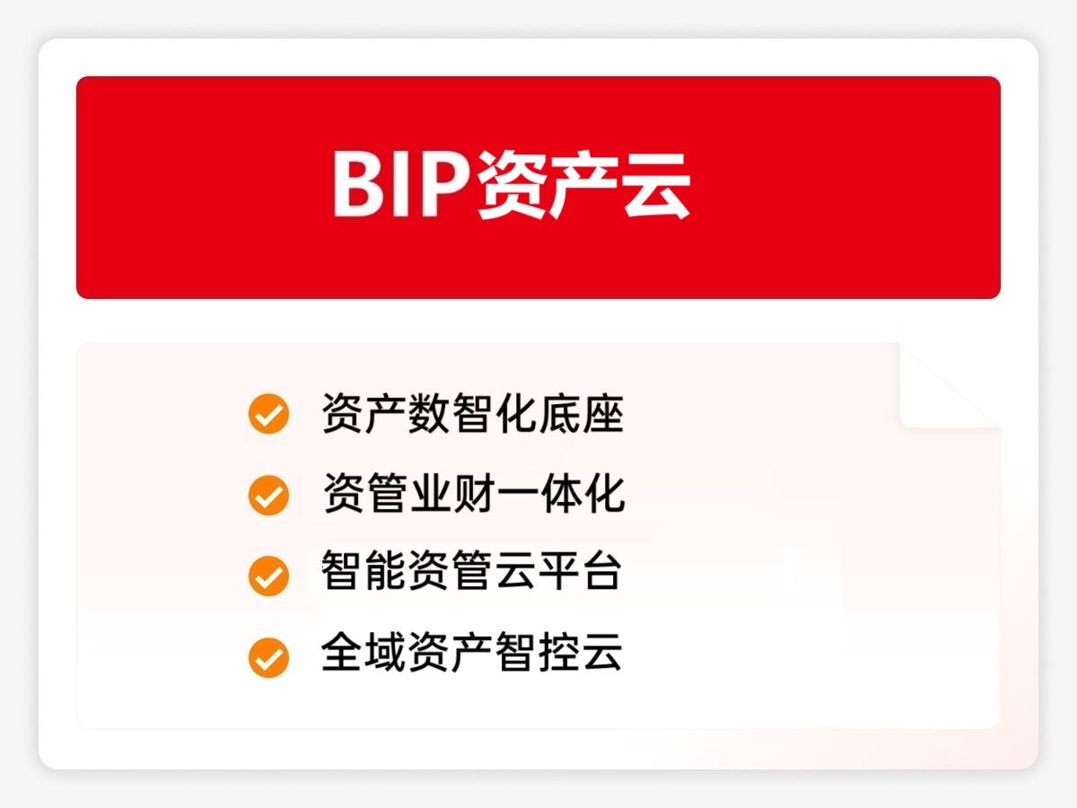 BIP资产云